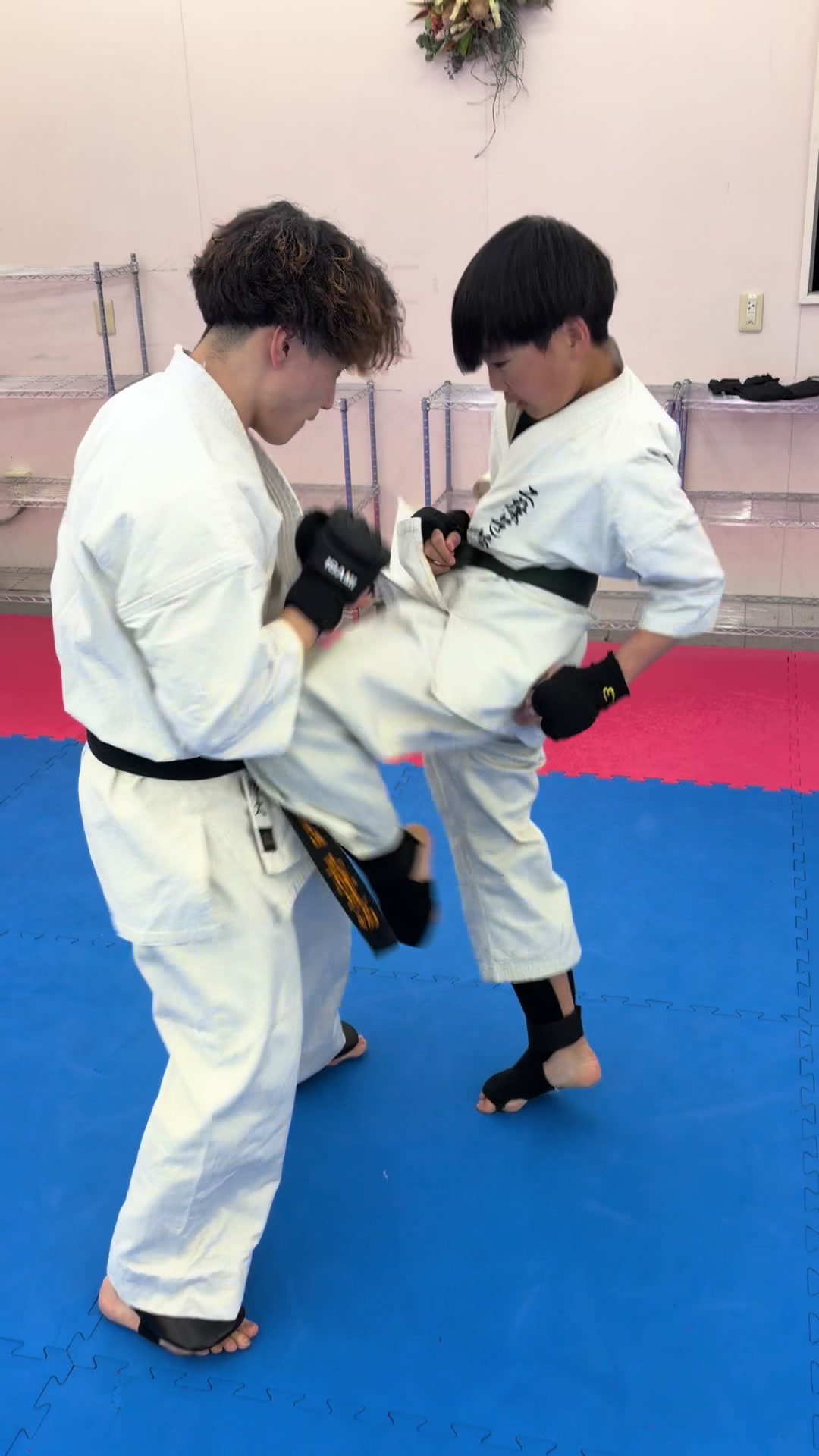 @kudodojo