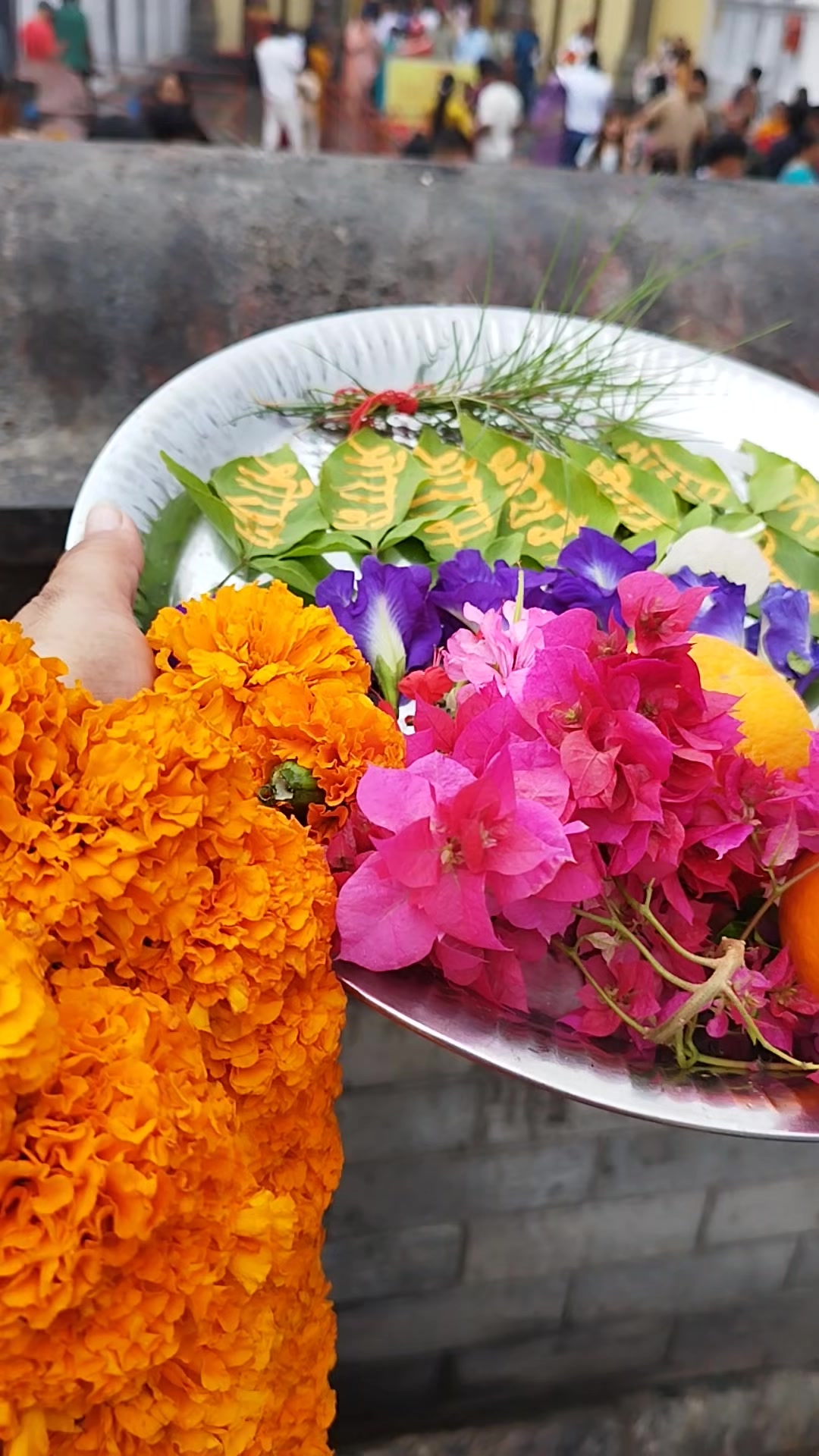 @kabitaojha