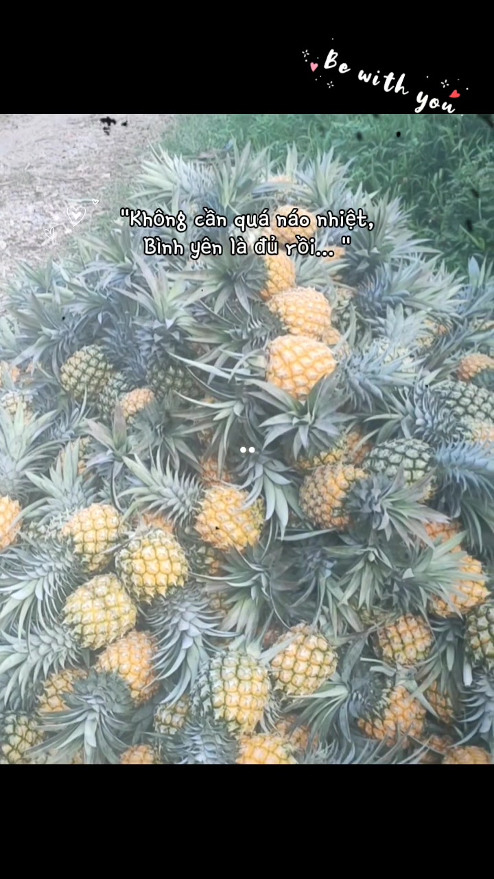 @Bầu trời nỗ lực 🌾