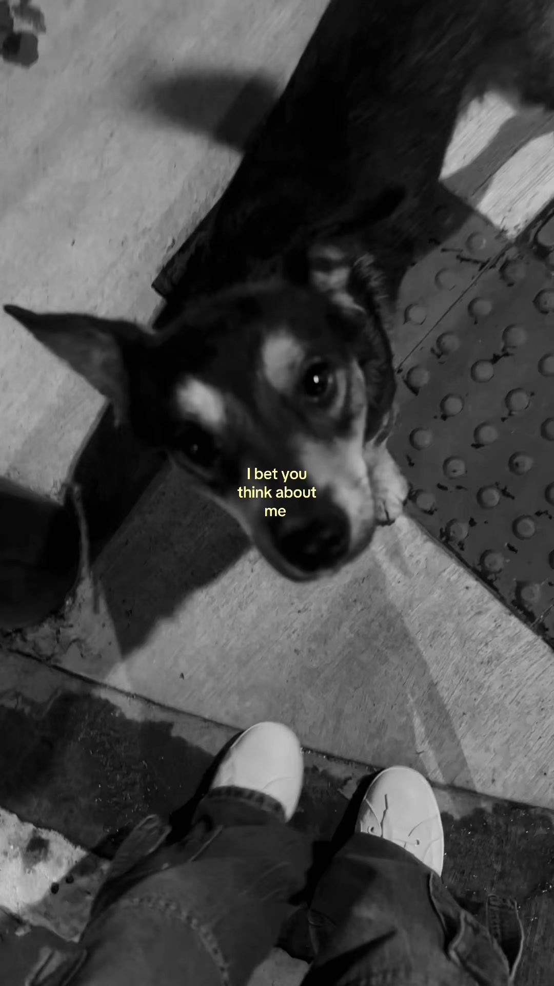 @𝓐𝓵𝓮