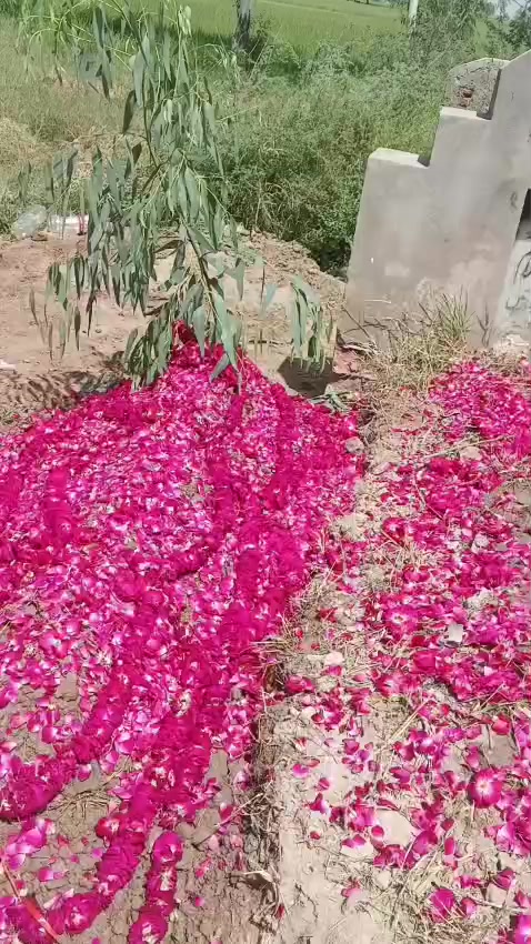 @MAAZMAHER 🦁