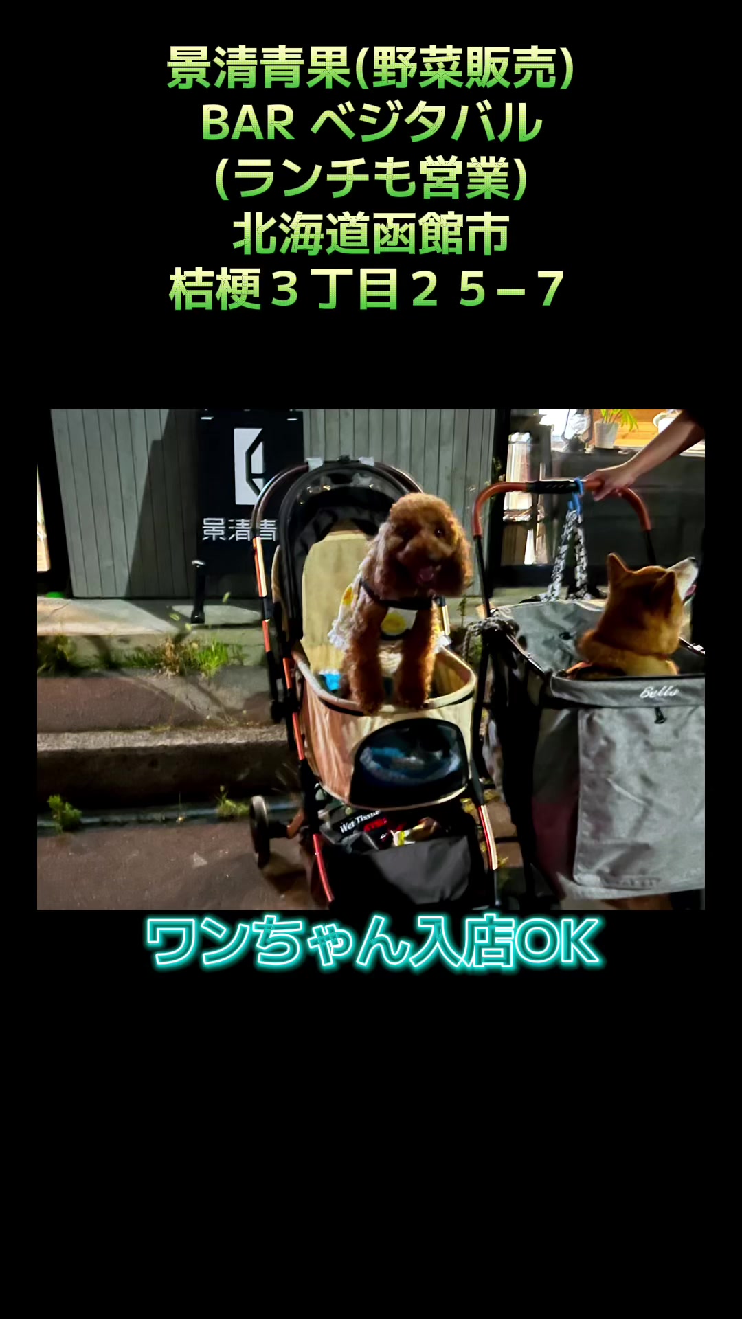 @テディきち