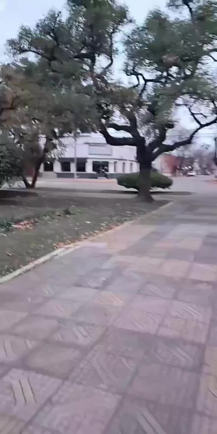 @estrellita