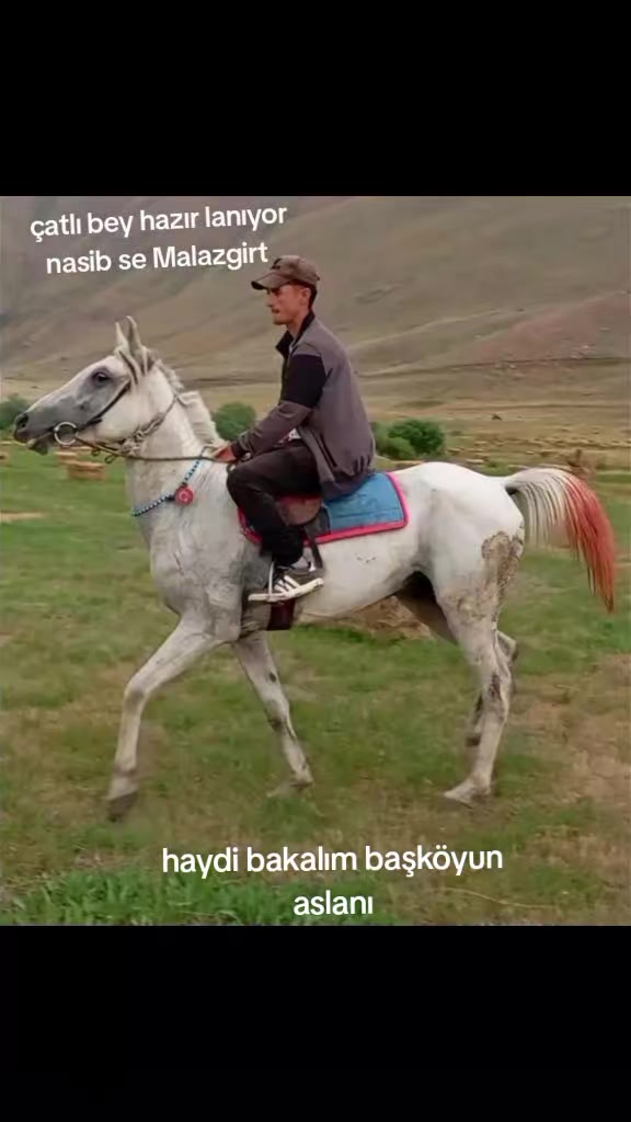 @&ccedil;atlı şaho