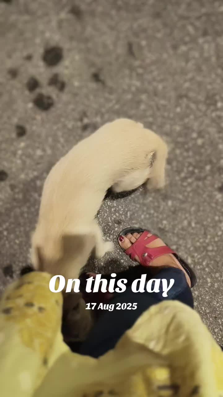 @Subhasree ✨