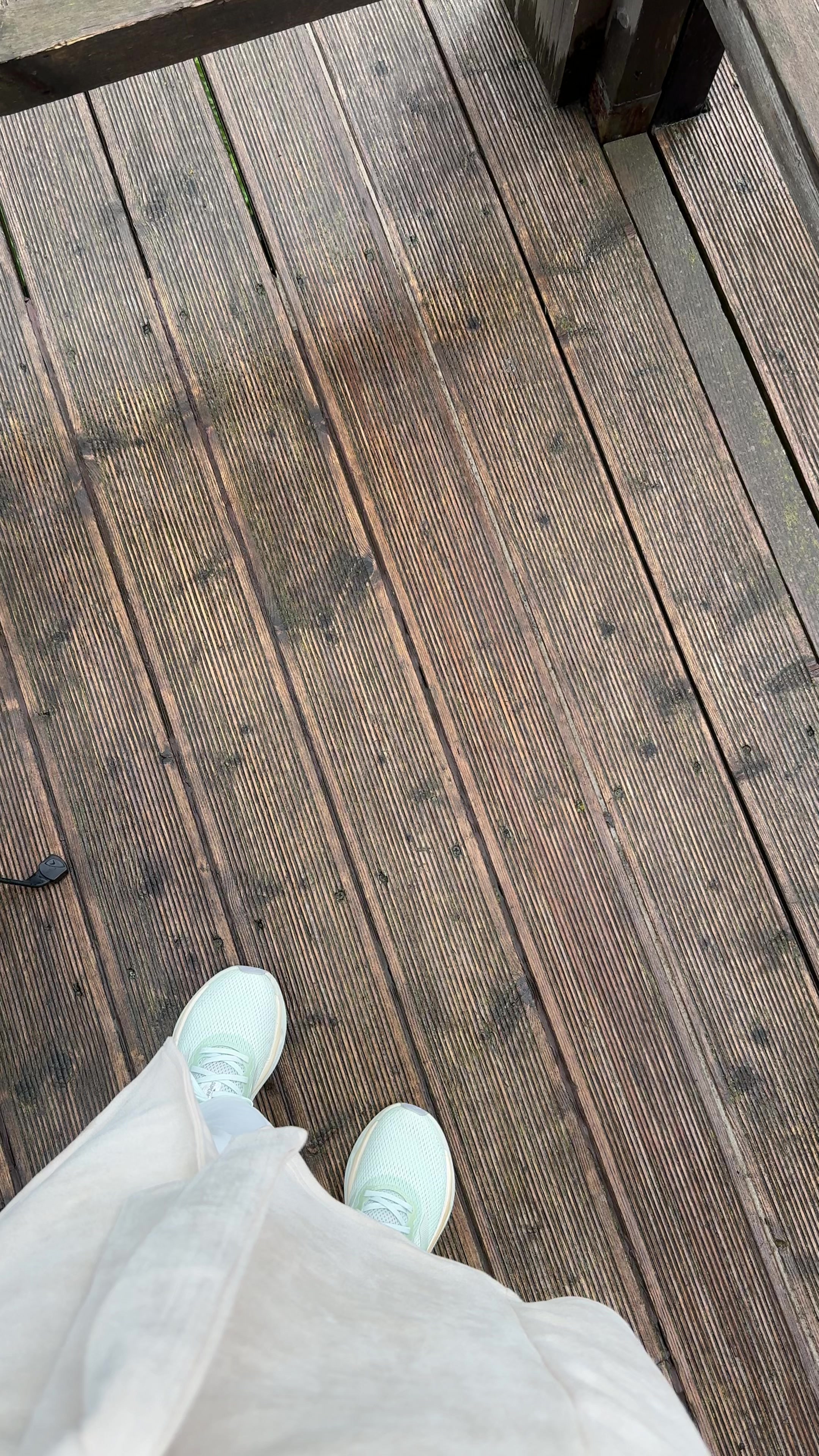 @𝙴 𝙻 𝙰 𝙵 𐂂