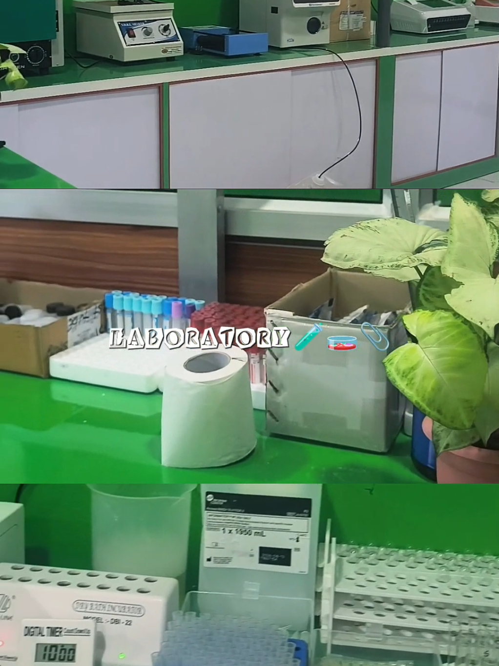 @paanchayan pharmacy