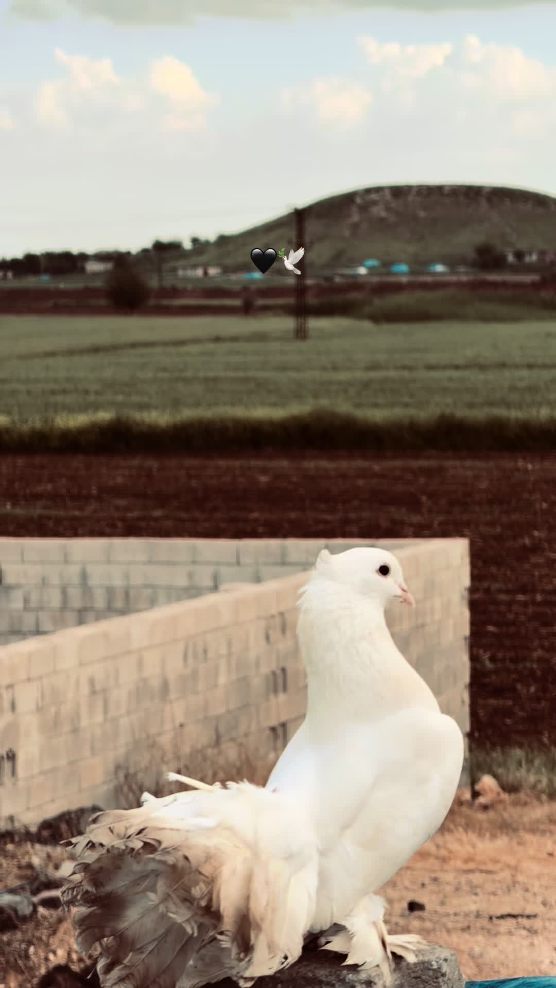 @𝐒𝐀𝐌𝐄𝐓 𝐁𝐄𝐘