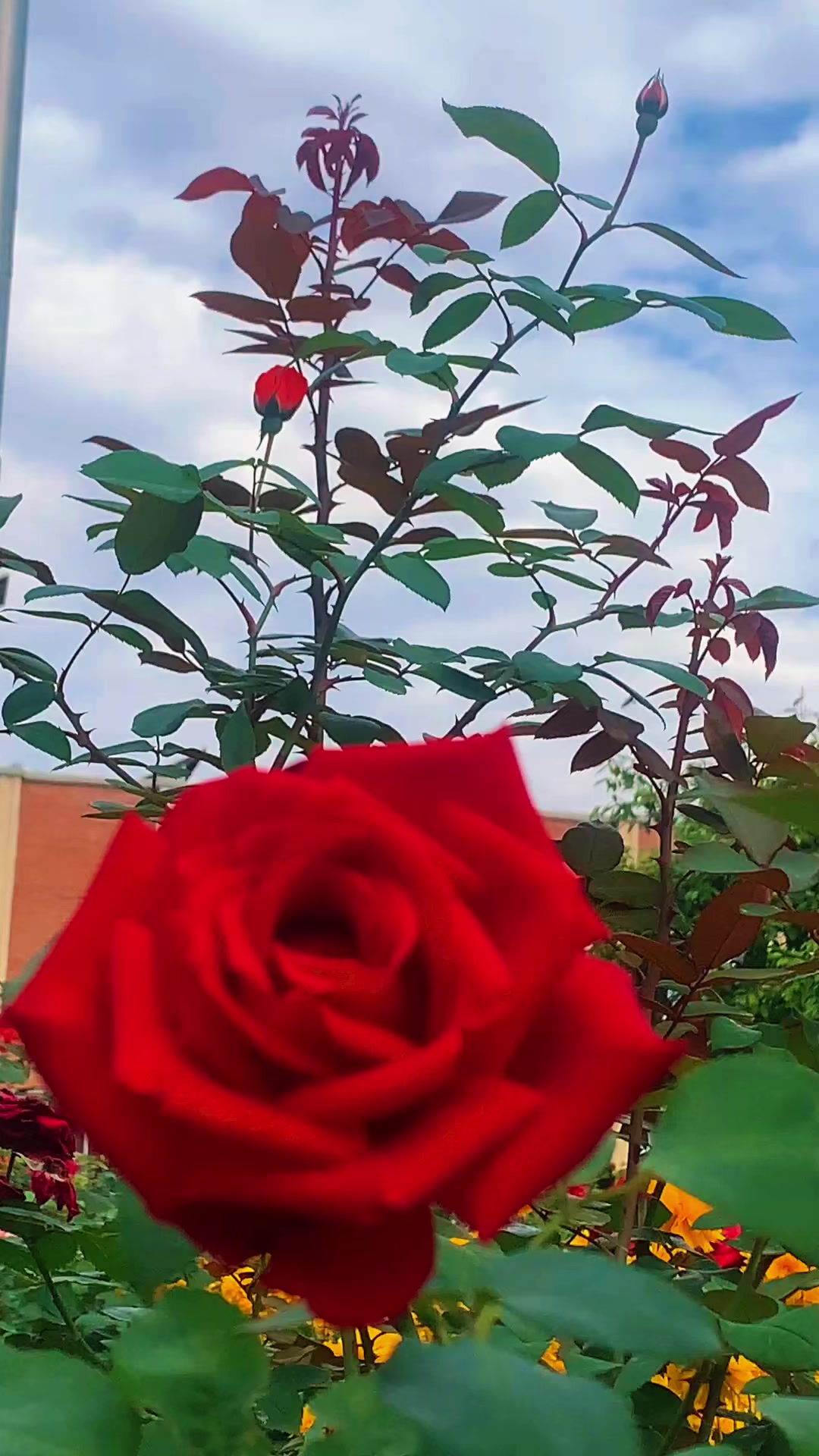 @प्रकृति