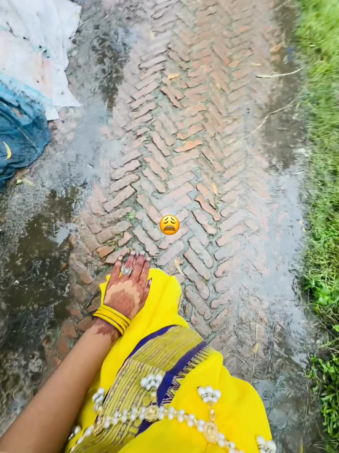 @🕊️
