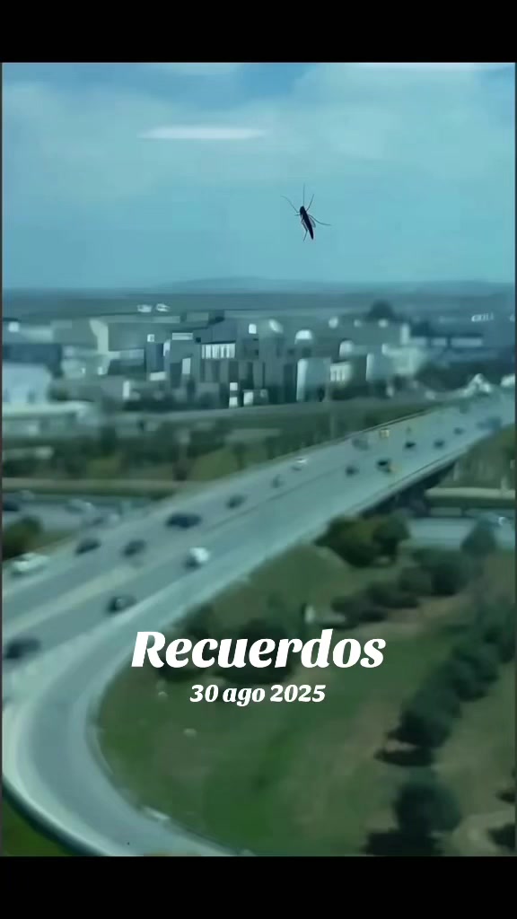 @Pablo S Treviño
