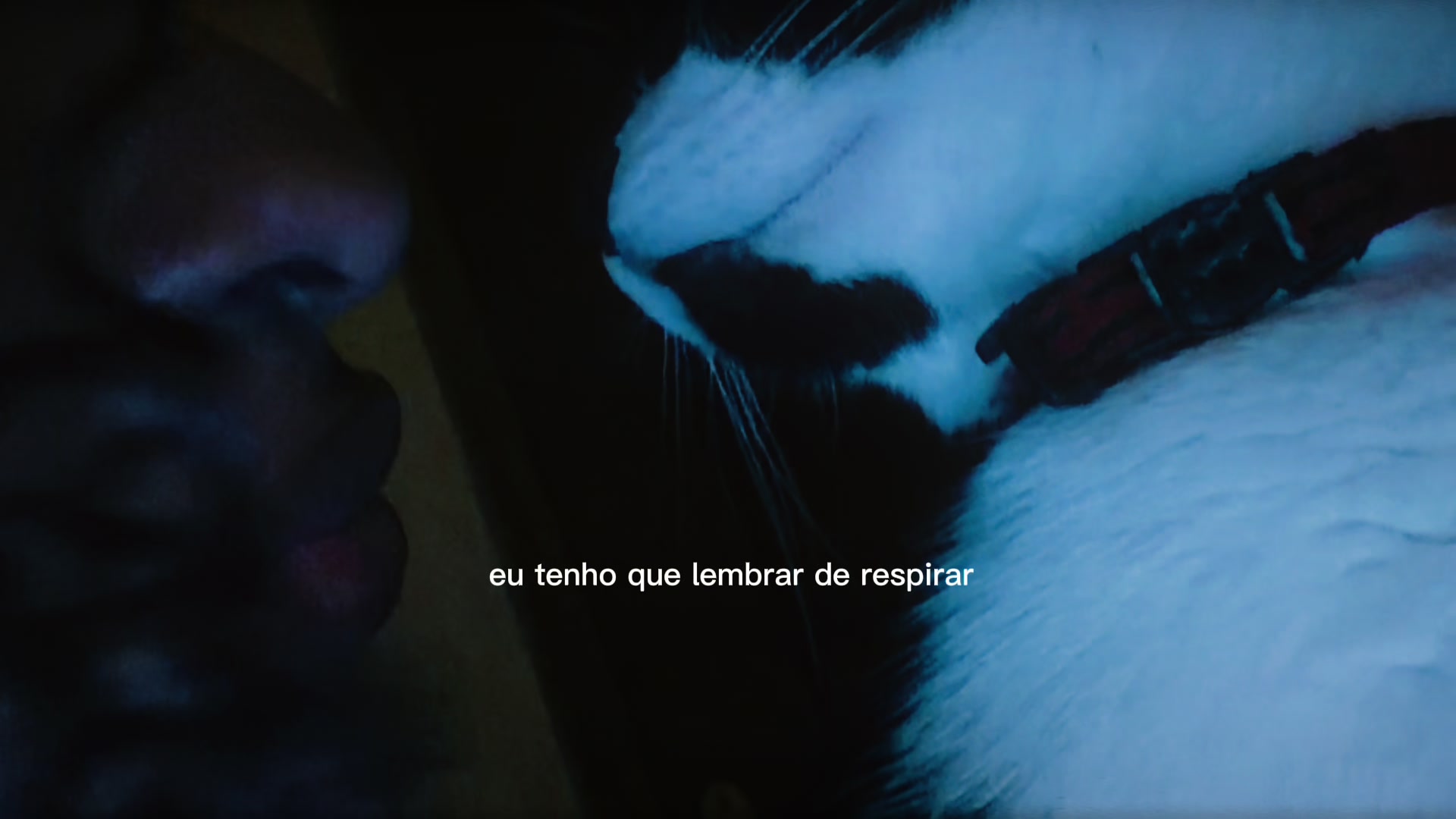 @Rafahh 🐈⬛