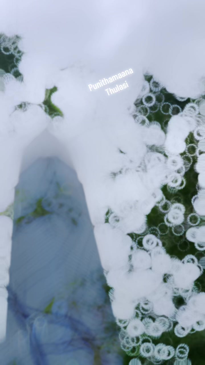 @Arii