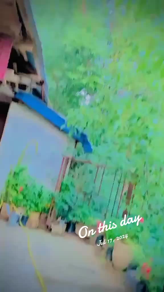 @izazYusufzai