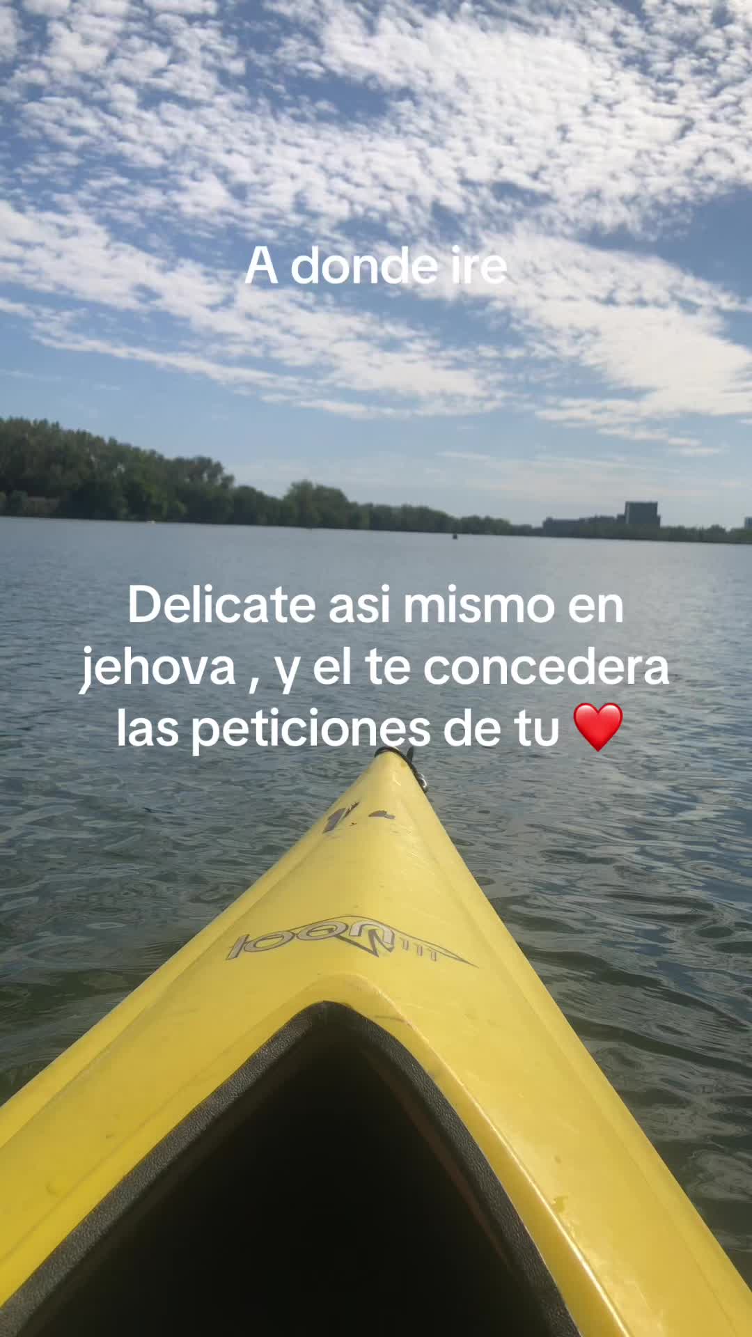 @Ruth Flores