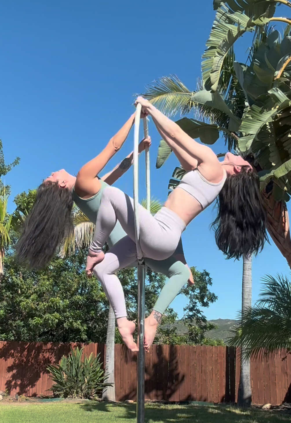 @carolyra_aerial