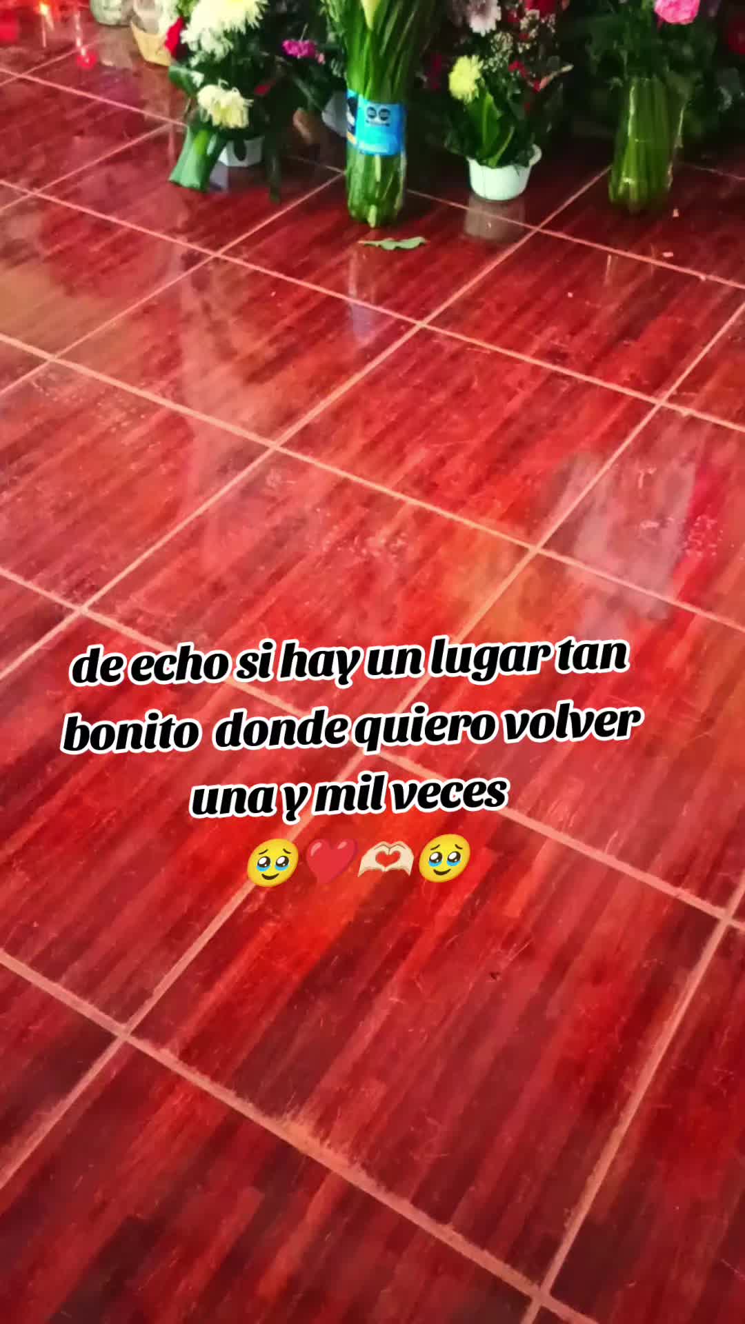 @❤️ Estrella ❤️