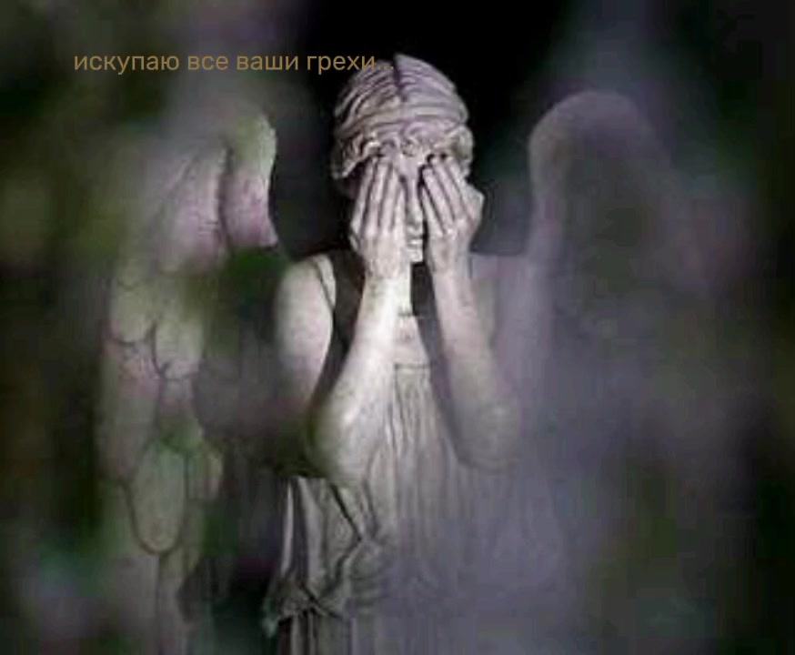 @кот@