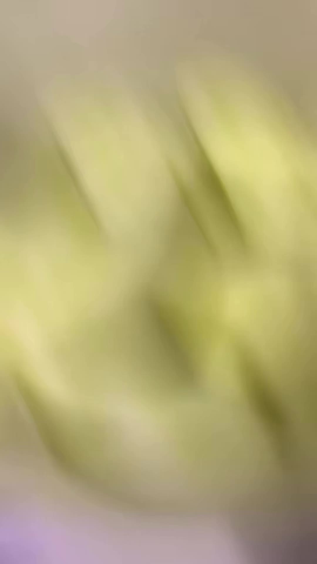 @๐ ๐ ๐ ๐ฅ ๐ ๐ป