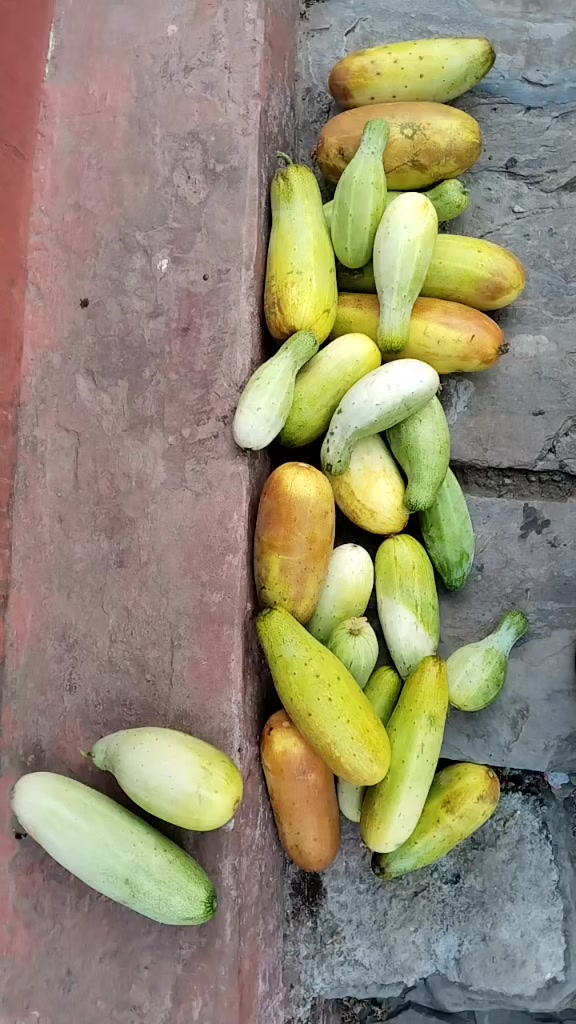 @Devi Khatri