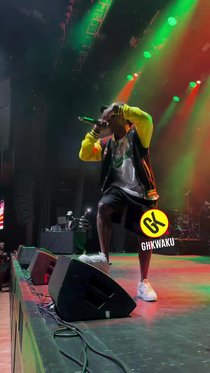 @Flowking Stone