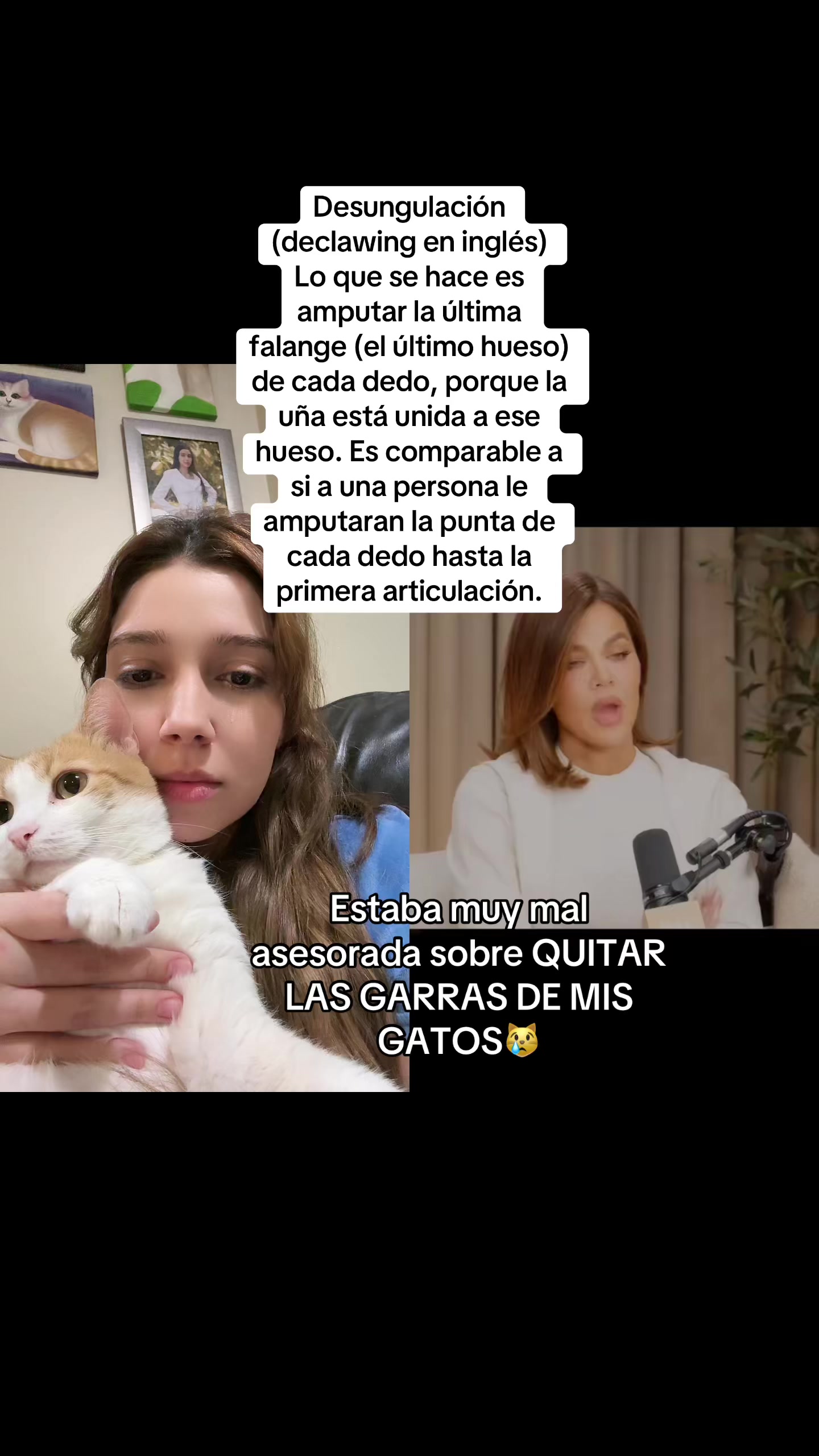 @Natt😺