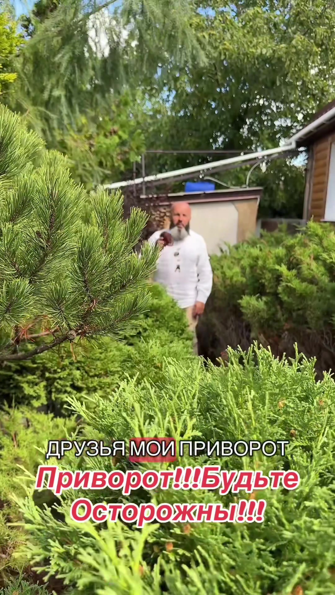 @СЕРЁГА БОРОДА