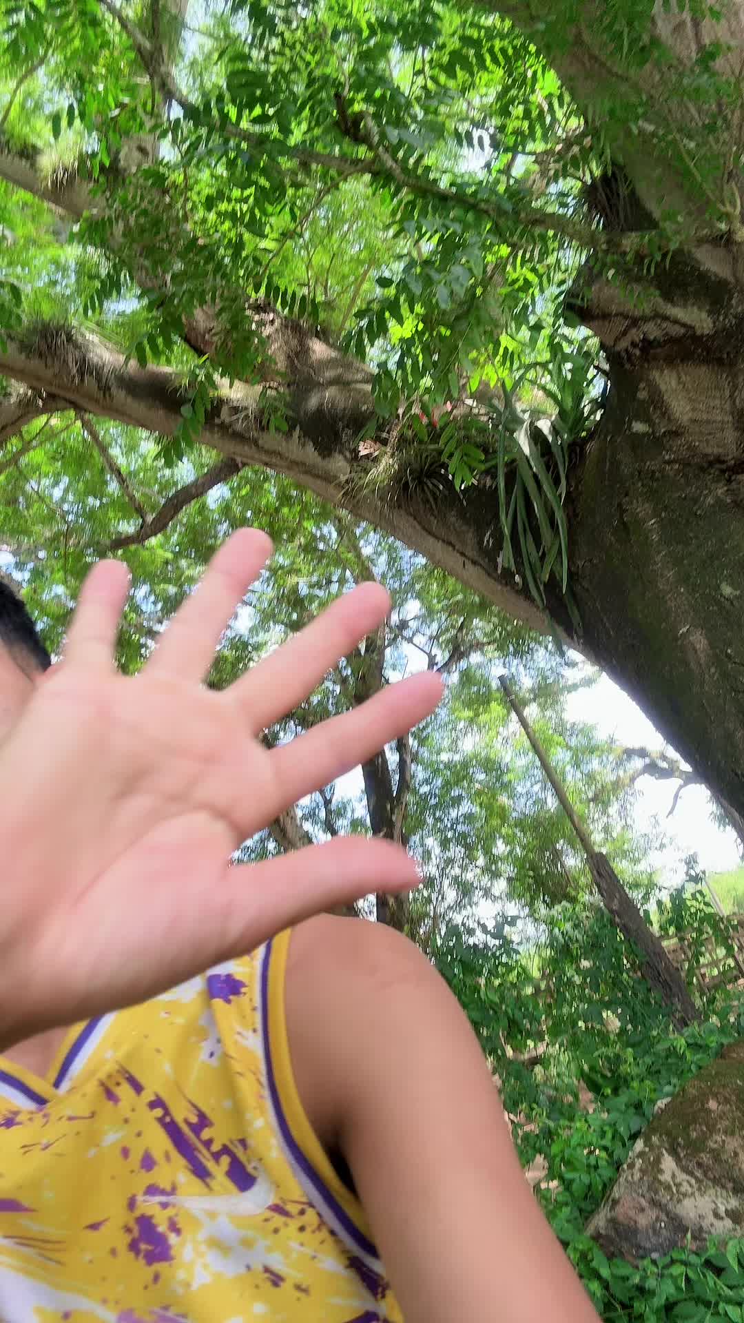 @Diego ochoa 🦍