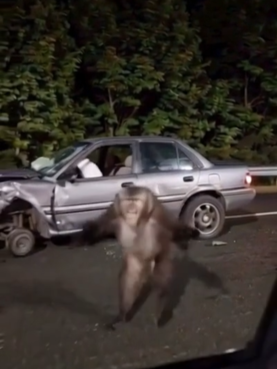 @Twist_qc
