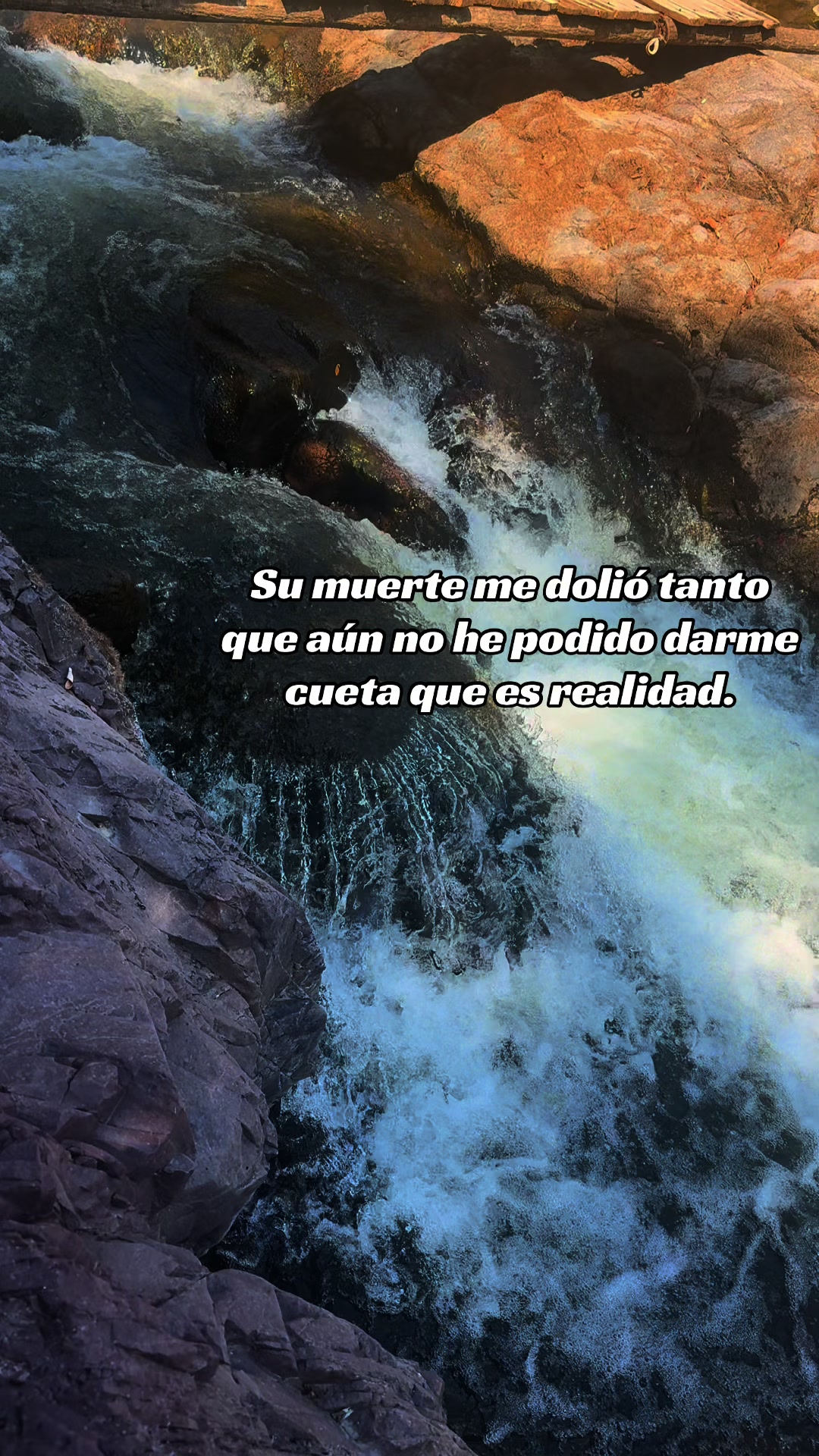@Melissa Andrade