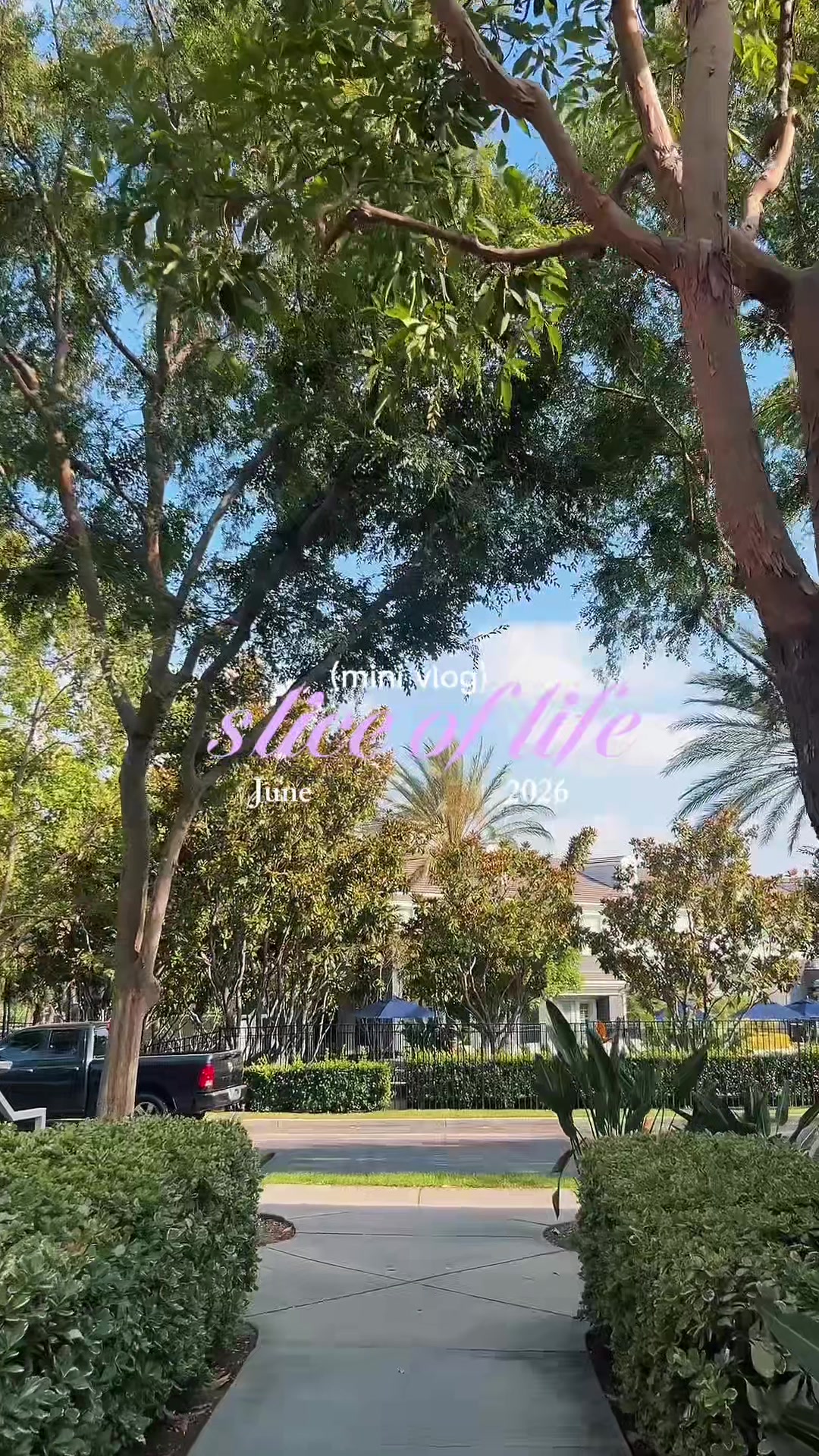 @Lauren Marin