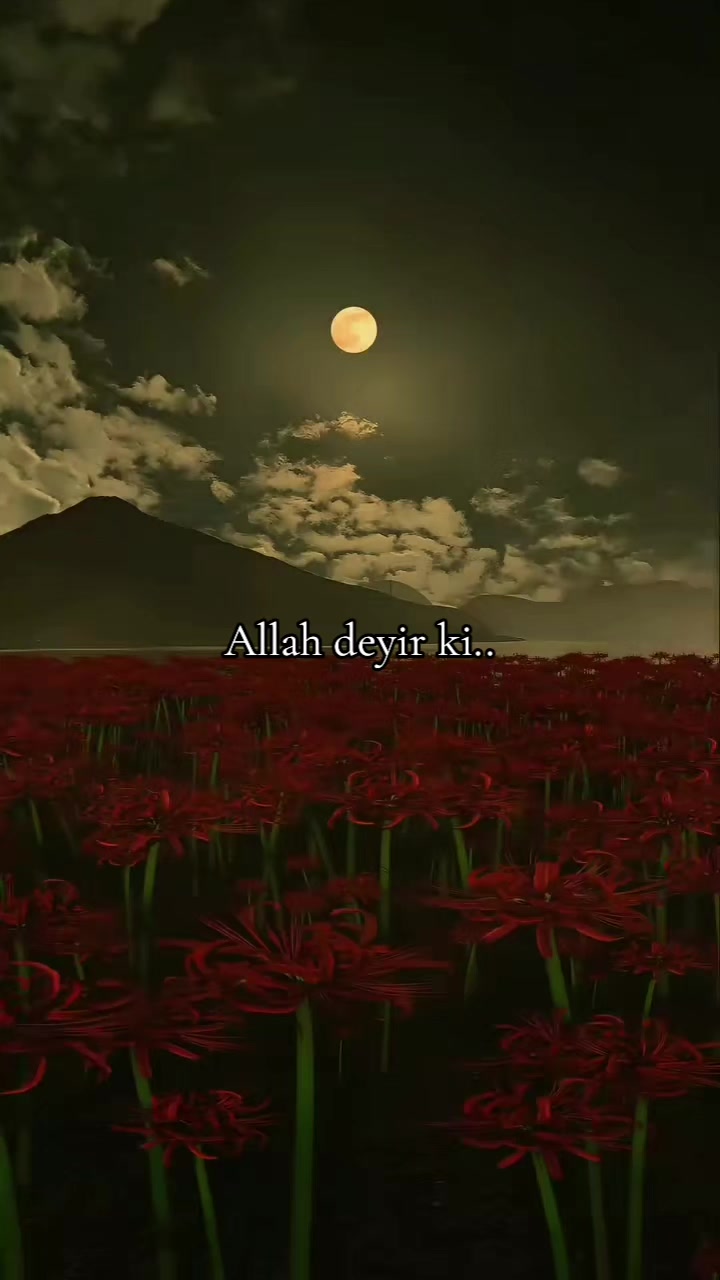 @𝐒𝐚𝐛𝐫_𝐘𝐨𝐥𝐮🌸🕋