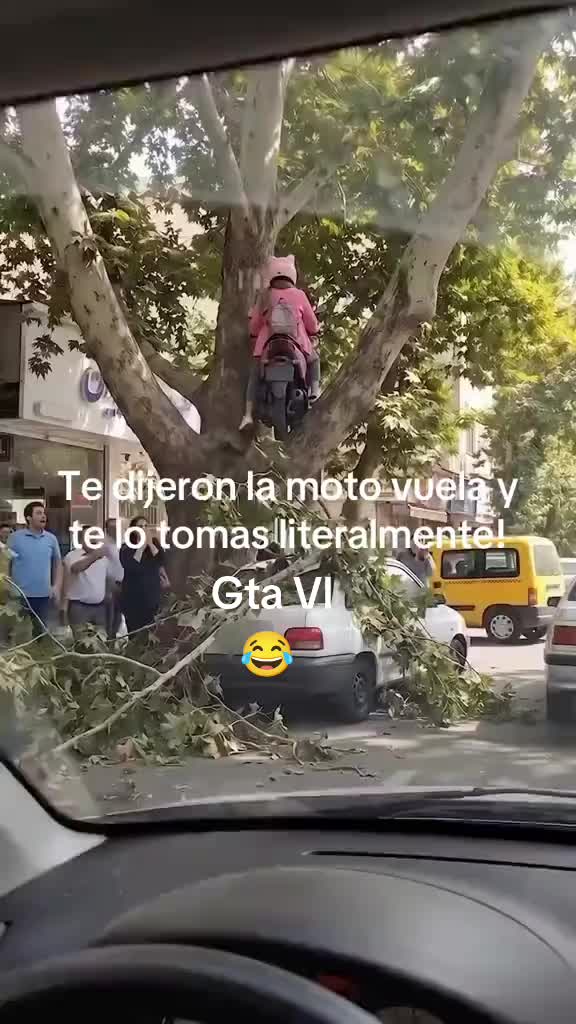 @Harlanzito tv