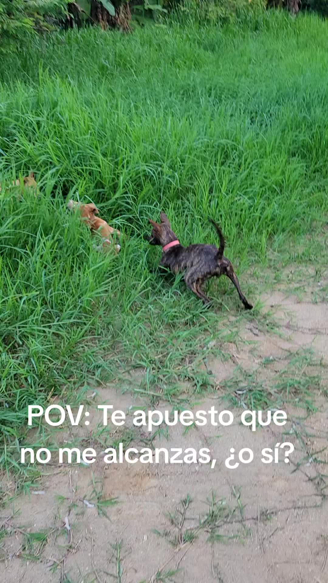 @lucymanzano