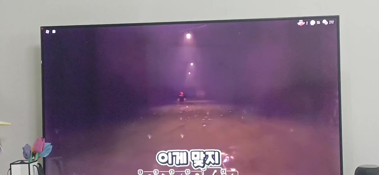 @소멸 바라기 서릿♡/접...