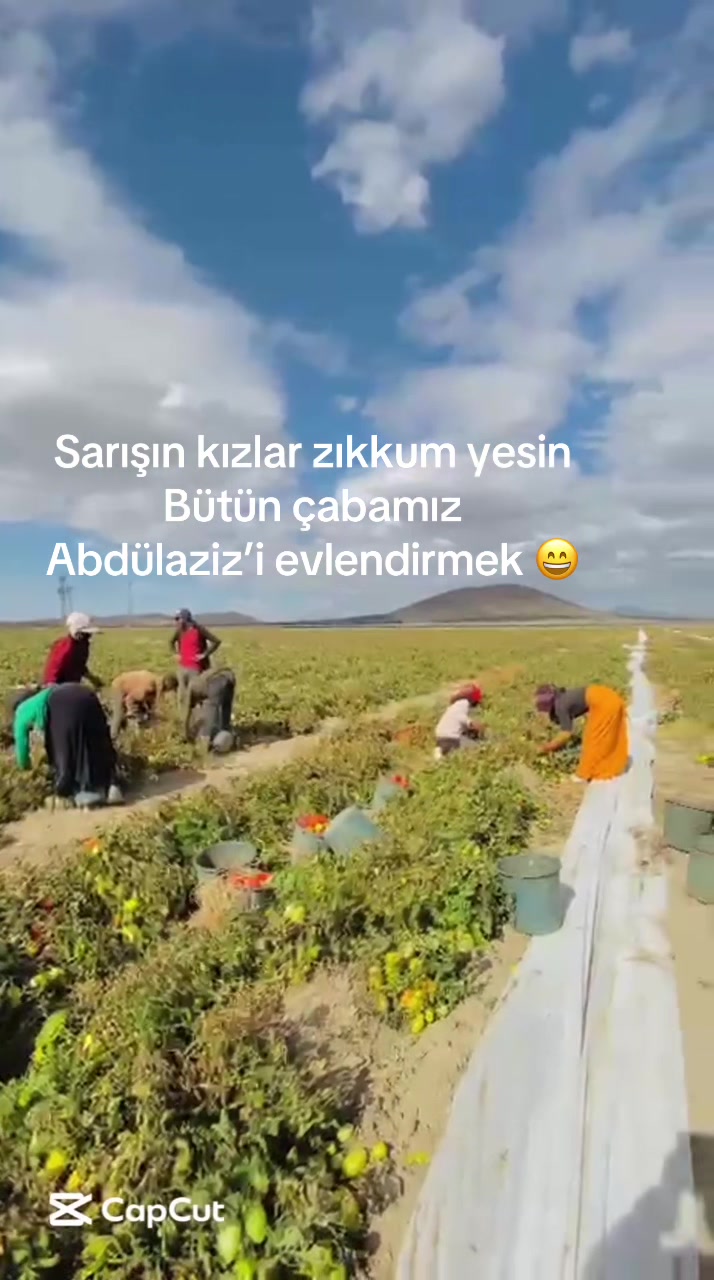 @İbrahim çiftçibaşı