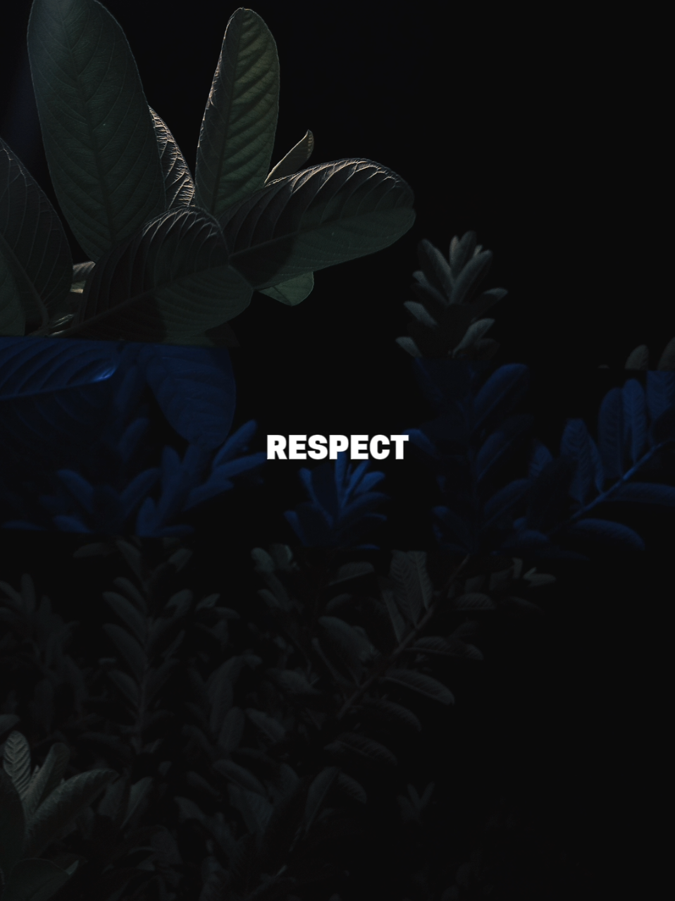 @𝐋𝐢𝐫𝐢𝐤 𝐒𝐞𝐝𝐞𝐫𝐡𝐚𝐧𝐚