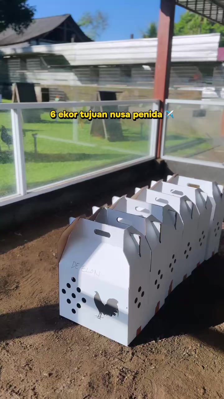 @NICK GAMEFARM