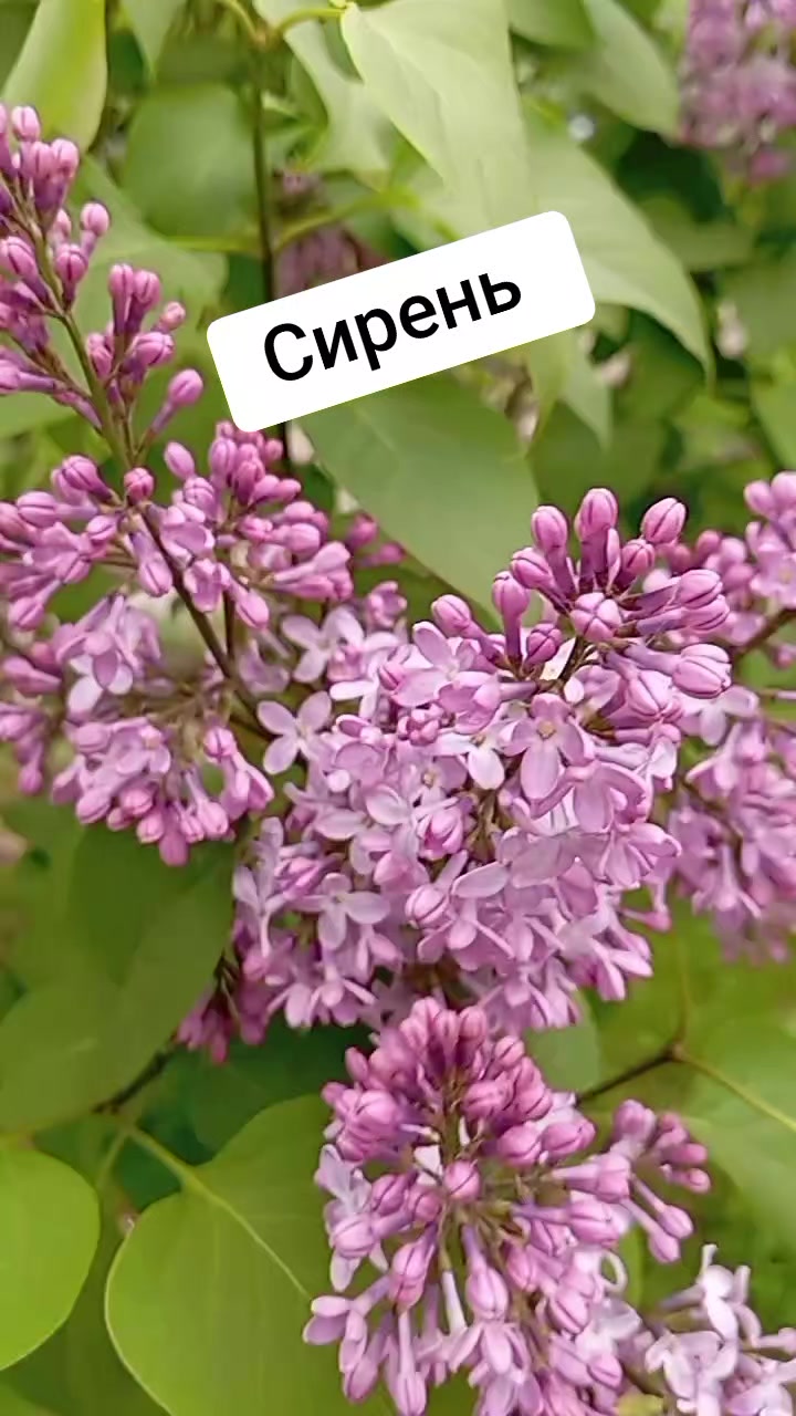 @Танюшка74