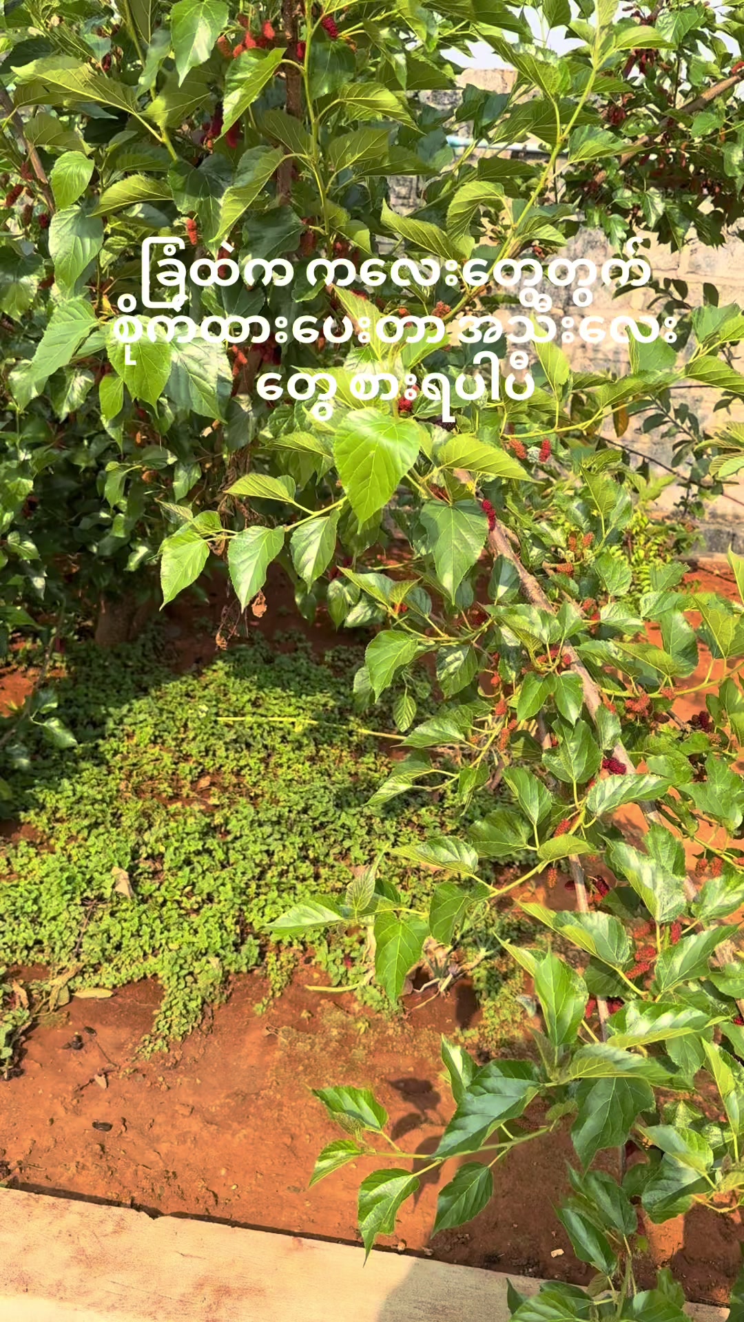 @👩&zwj;🦱
