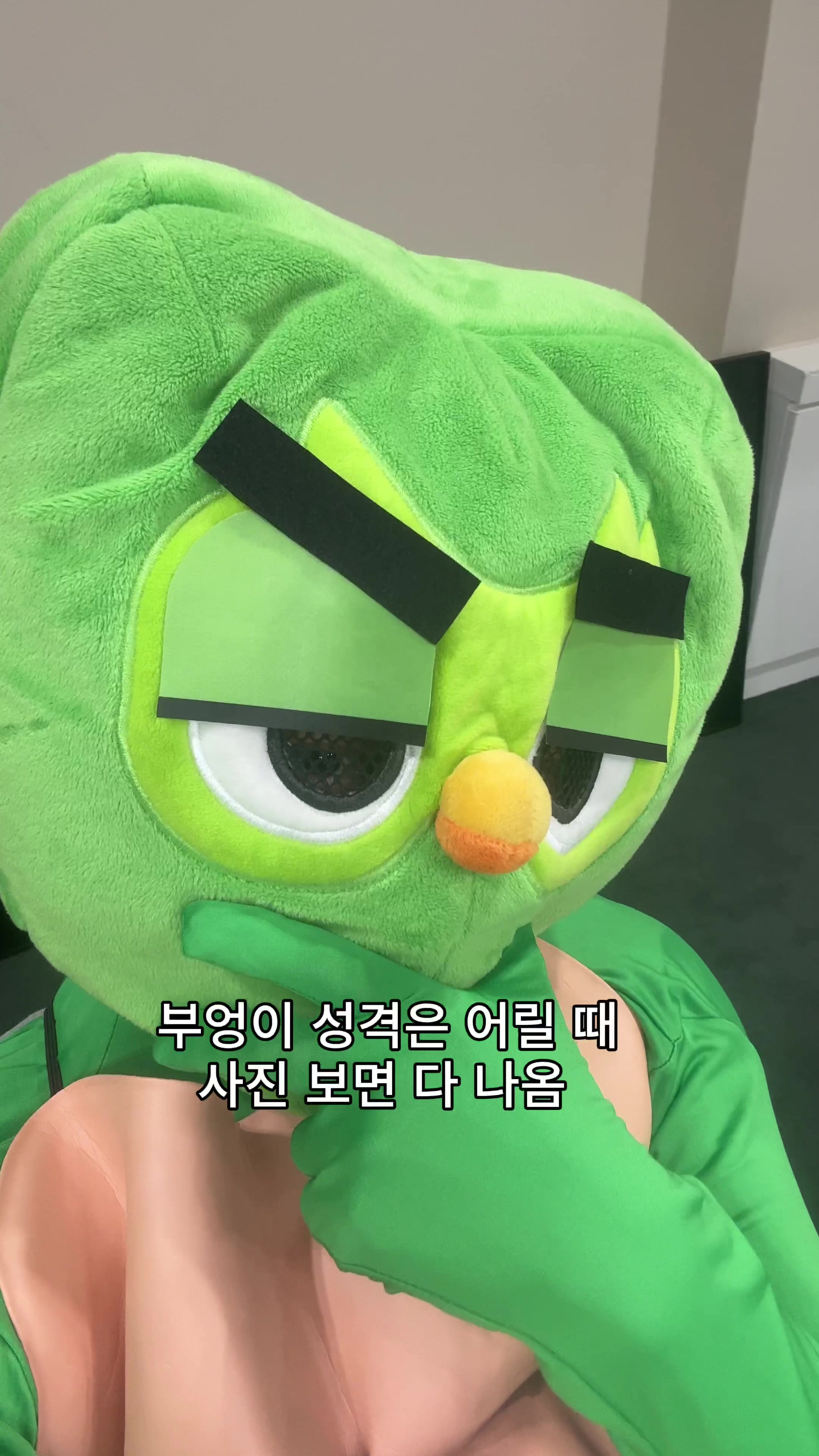 @duolingokorea