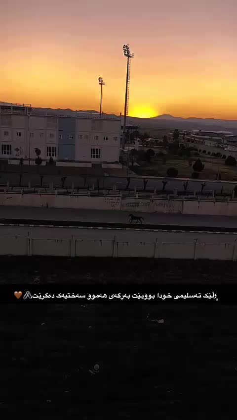 @shna_iii