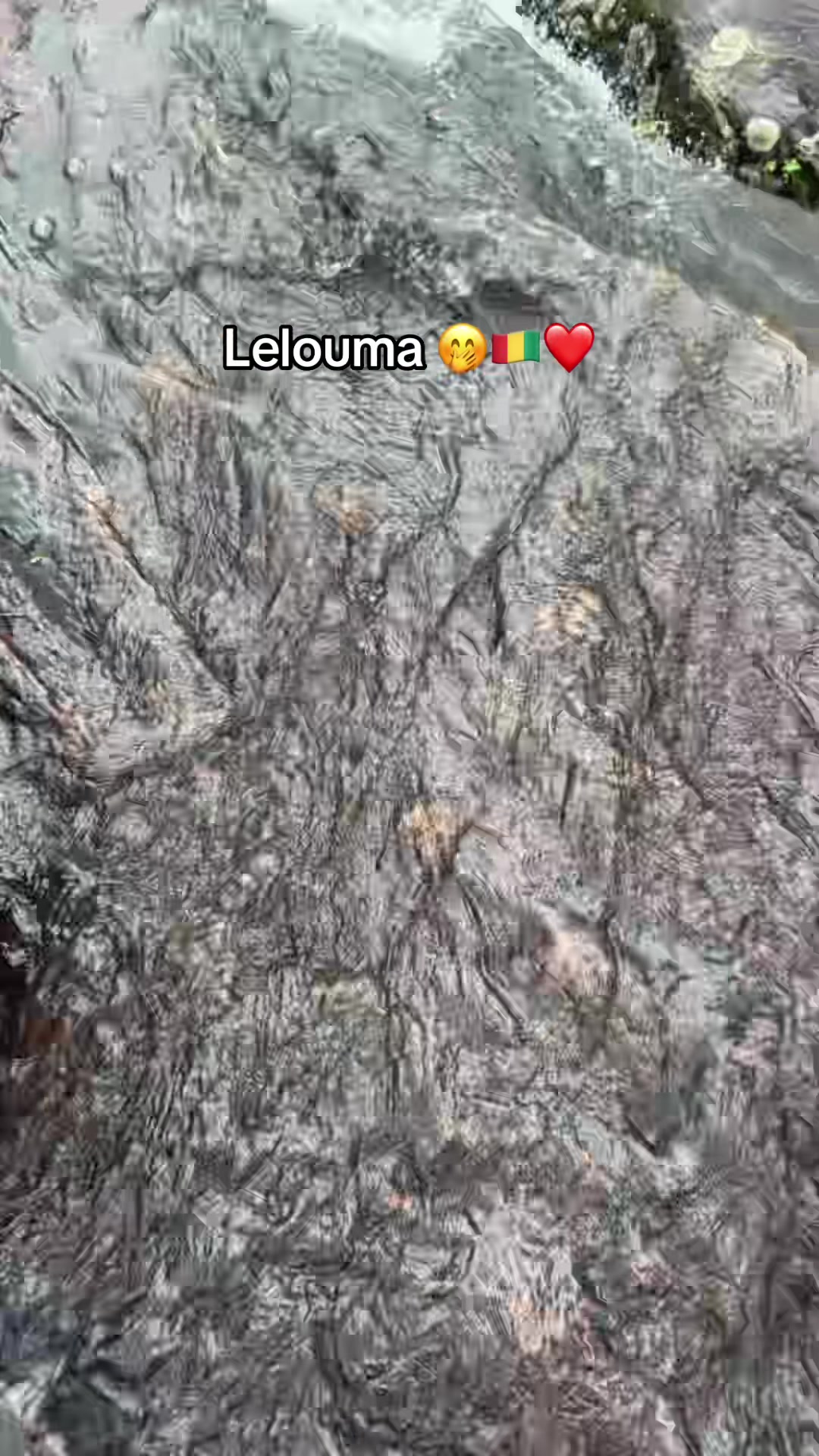 @From Lelouma