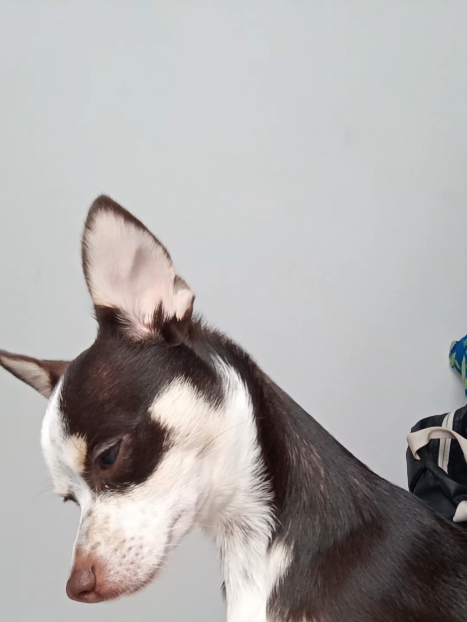 @→→→