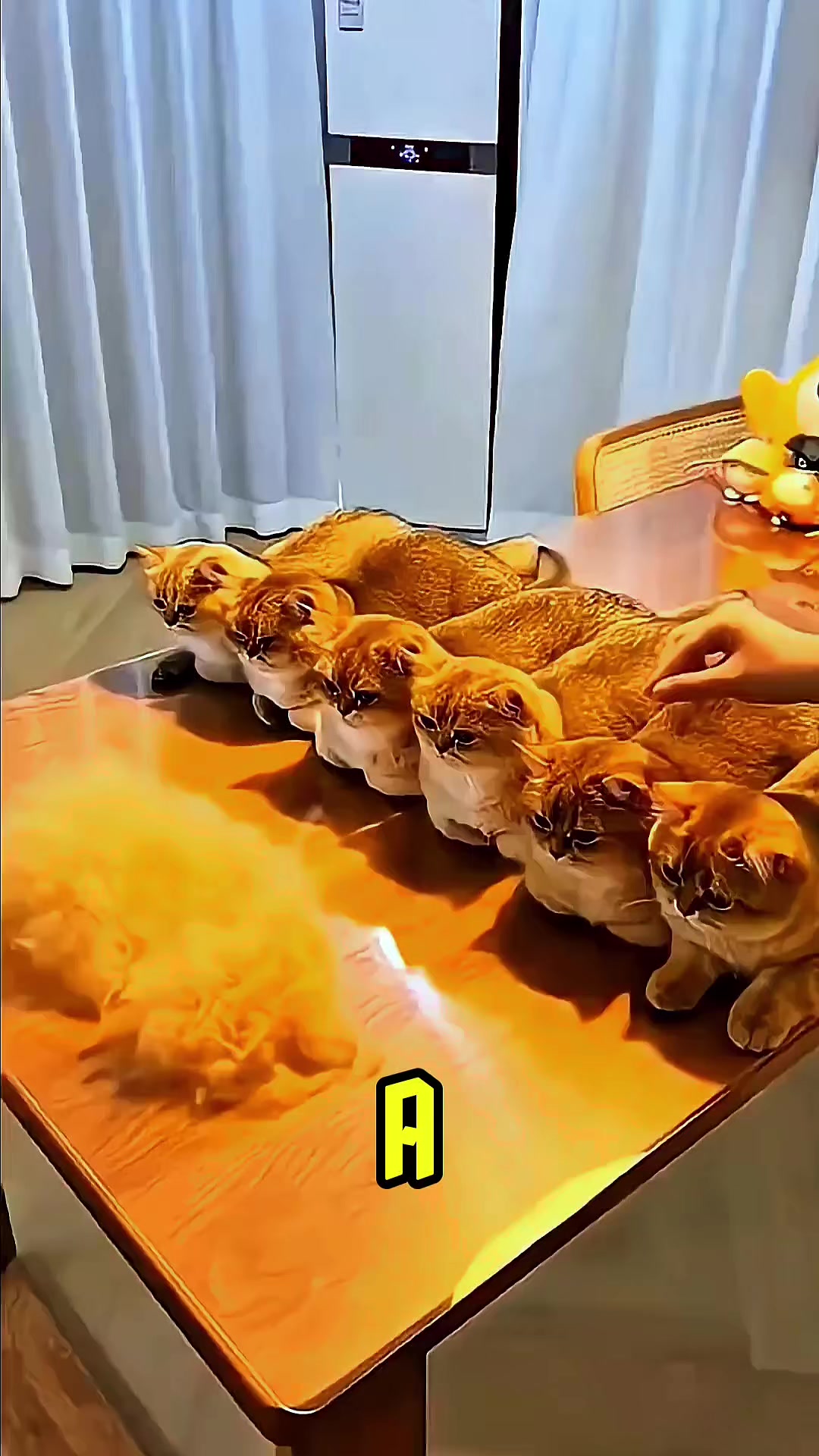 @Jivorix