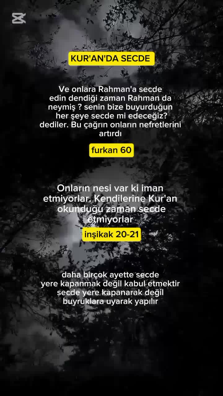 @🍂MUVAHHİDE🍂