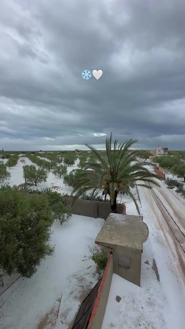 @علاء كرومة