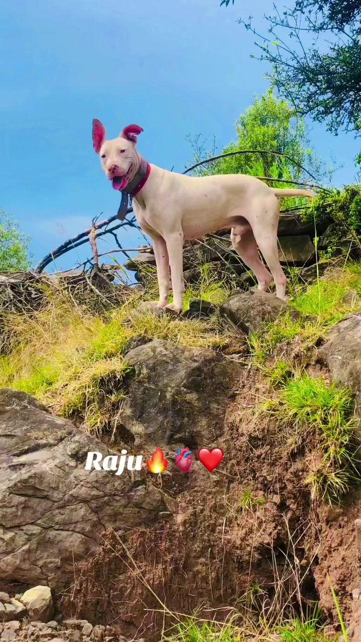@gultair Lover ✨❤️