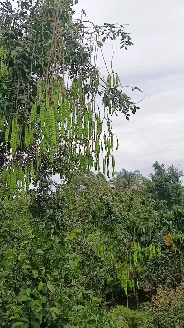 @punya cerita..