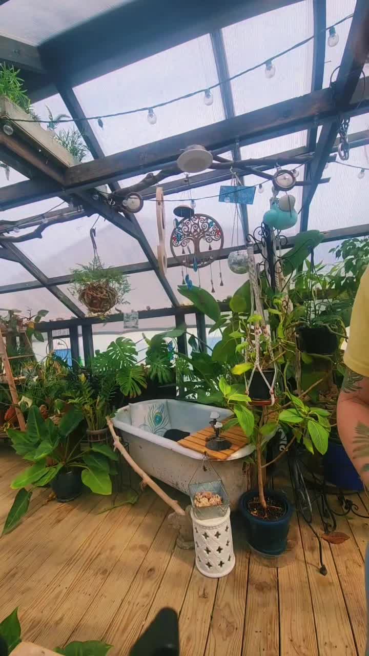 @plantymama🍄🪴💚